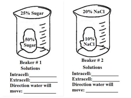 1.What are the two parts of a solution? 2.What percentage must those two parts always add up to? 3.What is a concentration gradient? 4.What is.