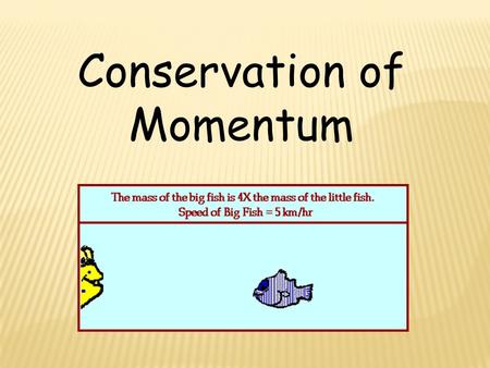 Conservation of Momentum