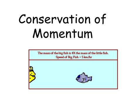 Conservation of Momentum. CONSERVATION OF LINEAR MOMENTUM According to the law of conservation of linear momentum, the total momentum in a system remains.