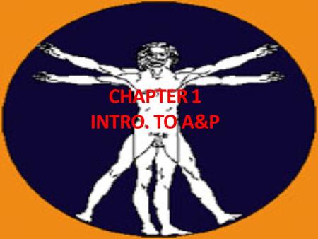 CHAPTER 1 INTRO. TO A&P. Intro to A&P Anatomy – deals with form & arrangement of body parts Physiology – deals with functions & how body parts operate.