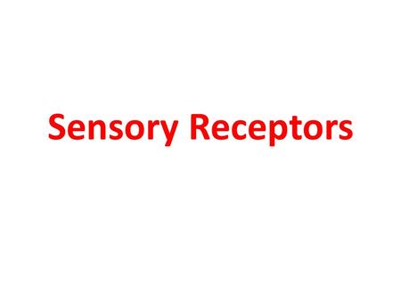 Sensory Receptors. D.S.Q. 1. What is getting ready to happen to the foot in the picture? 2. What will most likely happen as soon as the feather rubs.