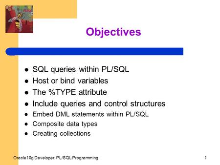 Oracle10g Developer: PL/SQL Programming1 Objectives SQL queries within PL/SQL Host or bind variables The %TYPE attribute Include queries and control structures.