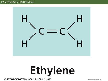 22 In-Text Art, p. 650 Ethylene PP5e-ITA-22-p650-0.jpg.