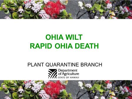 PLANT QUARANTINE BRANCH