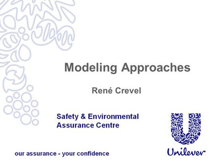 Modeling Approaches René Crevel.  Modeling approaches, including the hypoallergenicity model and the Bindslev- Jensen et al allergen model.  Data requirements.