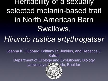 Heritability of a sexually selected melanin-based trait in North American Barn Swallows, Hirundo rustica ertythrogatser Joanna K. Hubbard, Brittany R.