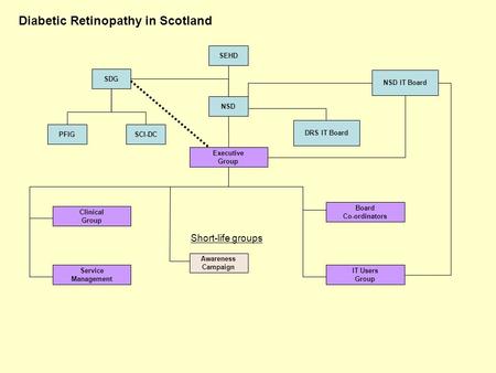 Diabetic Retinopathy in Scotland SEHD SDG NSD Executive Group DRS IT Board PFIG Clinical Group Service Management Awareness Campaign Board Co-ordinators.