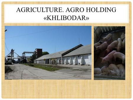 AGRICULTURE. AGRO HOLDING «KHLIBODAR». KEY FACTS: Agro holding “Khlibodar” is a vertically integrated structure, which includes holding company LLCKhlibodar,