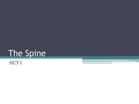 The Spine HCT I. The Spine The spine is composed of different sections that are connected in such a way that they form a flexible curved rod. There are.