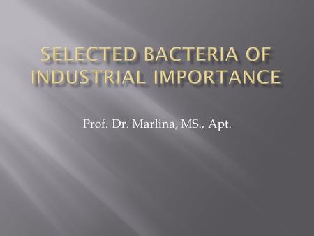 Prof. Dr. Marlina, MS., Apt..  Pseudomonas are aerobic organisms. They are Gram negative rods.  They are usually infectors of wounds and burns.  They.