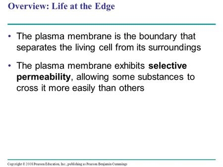 Overview: Life at the Edge The plasma membrane is the boundary that separates the living cell from its surroundings The plasma membrane exhibits selective.