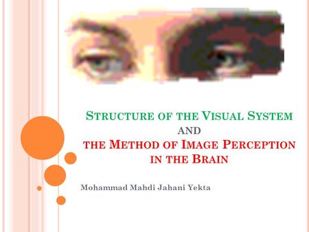 S TRUCTURE OF THE V ISUAL S YSTEM AND THE M ETHOD OF I MAGE P ERCEPTION IN THE B RAIN Mohammad Mahdi Jahani Yekta.