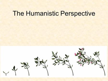 The Humanistic Perspective. 1. Explain Maslow’s idea of self- actualization. 2.Describe Carl Rogers view of human behavior and personality.