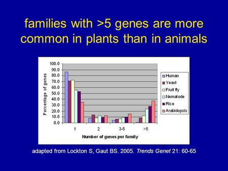 Families with >5 genes are more common in plants than in animals adapted from Lockton S, Gaut BS. 2005. Trends Genet 21: 60-65.