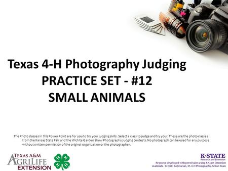 Texas 4-H Photography Judging PRACTICE SET - #12 SMALL ANIMALS The Photo classes in this Power Point are for you to try your judging skills. Select a class.