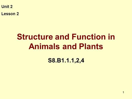 Structure and Function in Animals and Plants