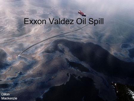 Exxon Valdez Oil Spill Dillon Mackenzie.