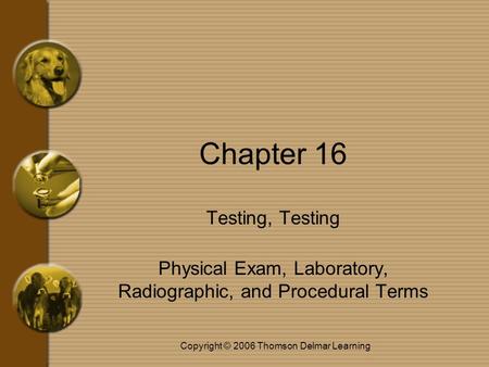 Copyright © 2006 Thomson Delmar Learning Chapter 16 Testing, Testing Physical Exam, Laboratory, Radiographic, and Procedural Terms.