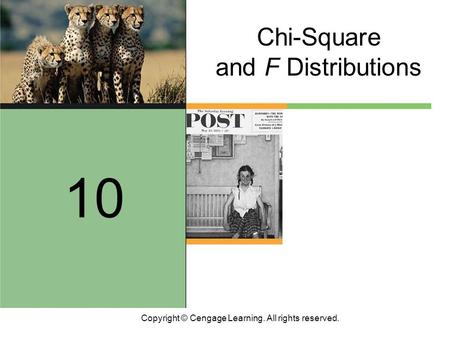 Copyright © Cengage Learning. All rights reserved. Chi-Square and F Distributions 10.