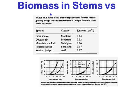 Biomass in Stems vs Leaves. OakNorthern PineSpruce 27 24 21 18 15 12 9 6 3 0 500100015002000500 1000 1500 2000 Annual Precipitation (mm) July Temperature.