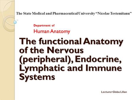 Department of Human Anatomy The functional Anatomy of the Nervous (peripheral), Endocrine, Lymphatic and Immune Systems The State Medical and Pharmaceutical.