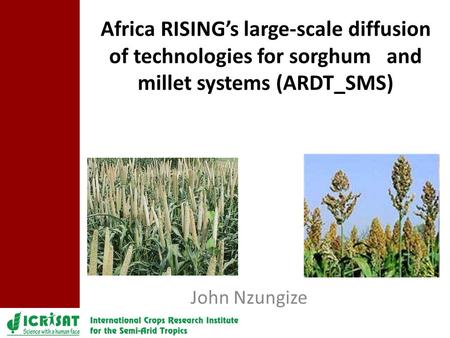 John Nzungize Africa RISING’s large-scale diffusion of technologies for sorghum and millet systems (ARDT_SMS)