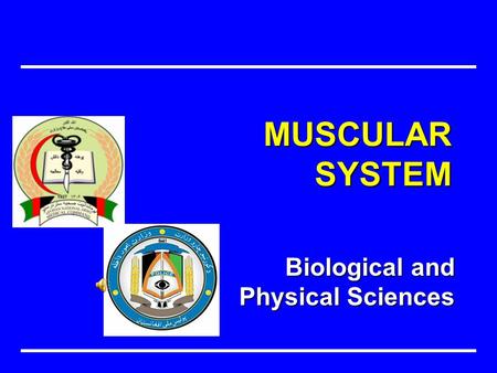 Biological and Physical Sciences MUSCULAR SYSTEM.