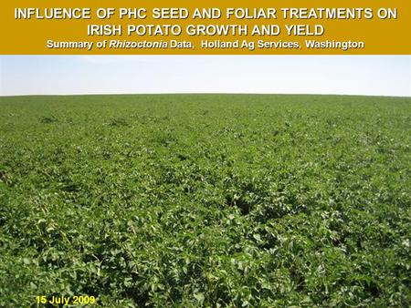 15 July 2009 INFLUENCE OF PHC SEED AND FOLIAR TREATMENTS ON IRISH POTATO GROWTH AND YIELD Summary of Rhizoctonia Data, Holland Ag Services, Washington.