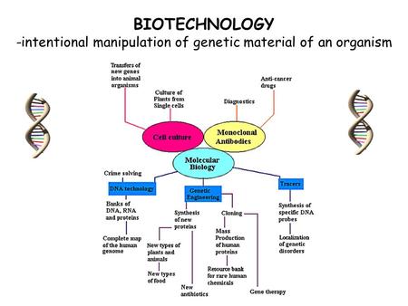 Deoxyribose Nucleic Acid (DNA)