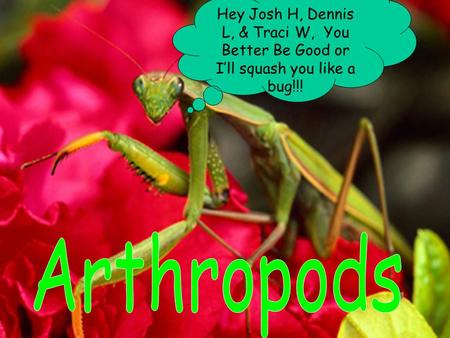 Hey Josh H, Dennis L, & Traci W, You Better Be Good or I’ll squash you like a bug!!!