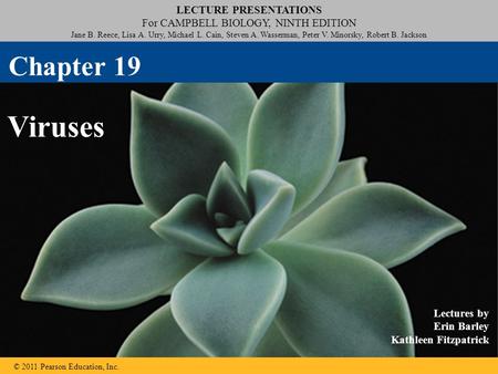 LECTURE PRESENTATIONS For CAMPBELL BIOLOGY, NINTH EDITION Jane B. Reece, Lisa A. Urry, Michael L. Cain, Steven A. Wasserman, Peter V. Minorsky, Robert.