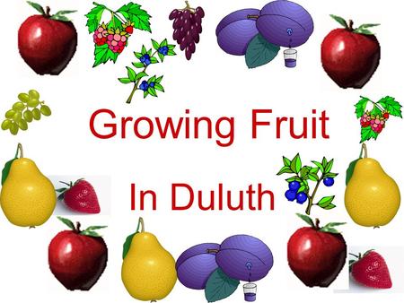 Growing Fruit In Duluth. Planning –Fruit plot location Soil type Drainage Sun Water availability Slope Things to avoid.