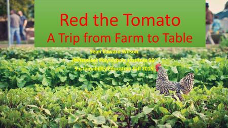 Red the Tomato A Trip from Farm to Table Sean Edward Wilson Rensselaer Polytechnic Institute 15’ Sustainability Education Fall 2015.