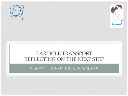 PARTICLE TRANSPORT REFLECTING ON THE NEXT STEP R.BRUN, F.CARMINATI, A.GHEATA 1.