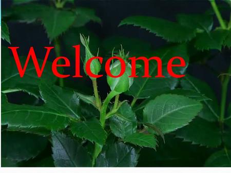 Welcome. Class : Seven Subject : English 2 nd paper Time : 40 minutes Date : 17/01/12 Introduction : Mafuza Khatun Assistant computer Teacher Rayermohol.