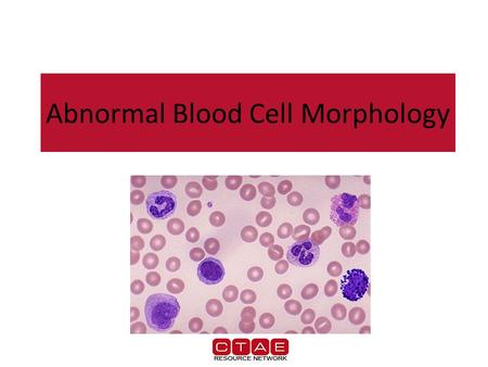 Abnormal Blood Cell Morphology