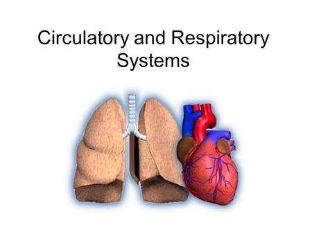 Circulatory and Respiratory Systems