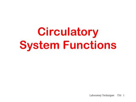 Circulatory System Functions