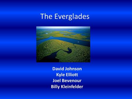 The Everglades David Johnson Kyle Elliott Joel Bevenour Billy Kleinfelder.