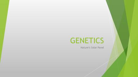 GENETICS Nature’s Solar Panel. ASEXUAL REPRODUCTION  Reproduction without sex  Genetically identical  Cloning  Propagating.