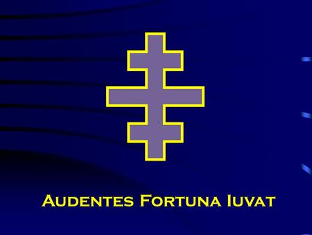 Audentes Fortuna Iuvat. Beginning in January 2008 We laid out the goals for the coming year in the “Knight Templar” (Magazine)