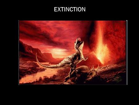 EXTINCTION. CALCULATING RATES OF ORIGINATION AND EXTINCTION α = origination rate Ω = extinction rate.