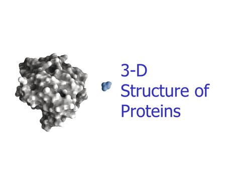 3-D Structure of Proteins