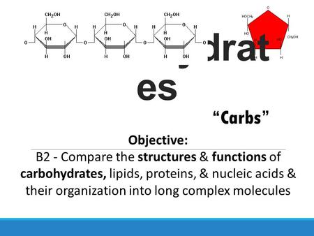 Carbohydrates “Carbs” Objective: