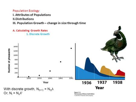 Population Ecology I.Attributes of Populations II.Distributions III. Population Growth – change in size through time A. Calculating Growth Rates 1. Discrete.