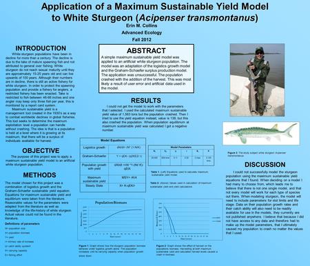 Application of a Maximum Sustainable Yield Model to White Sturgeon (Acipenser transmontanus) Erin M. Collins Advanced Ecology Fall 2012 ABSTRACT A simple.