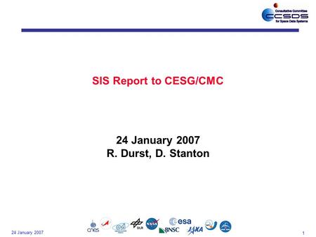 1 24 January 2007 SIS Report to CESG/CMC 24 January 2007 R. Durst, D. Stanton.