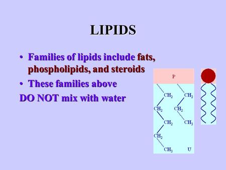 LIPIDS Families of lipids include fats, phospholipids, and steroidsFamilies of lipids include fats, phospholipids, and steroids These families aboveThese.