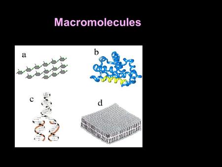 Macromolecules. How to build a polymer  dehydration synthesis  joins monomers by “taking” H 2 O out  requires energy & enzymes Structure and function.