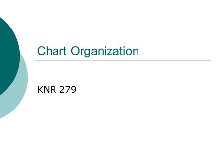 Chart Organization KNR 279. 2 Types of Documentation  Program management KNR 278 WPO, specific program plans, policy & procedures, risk management plan,